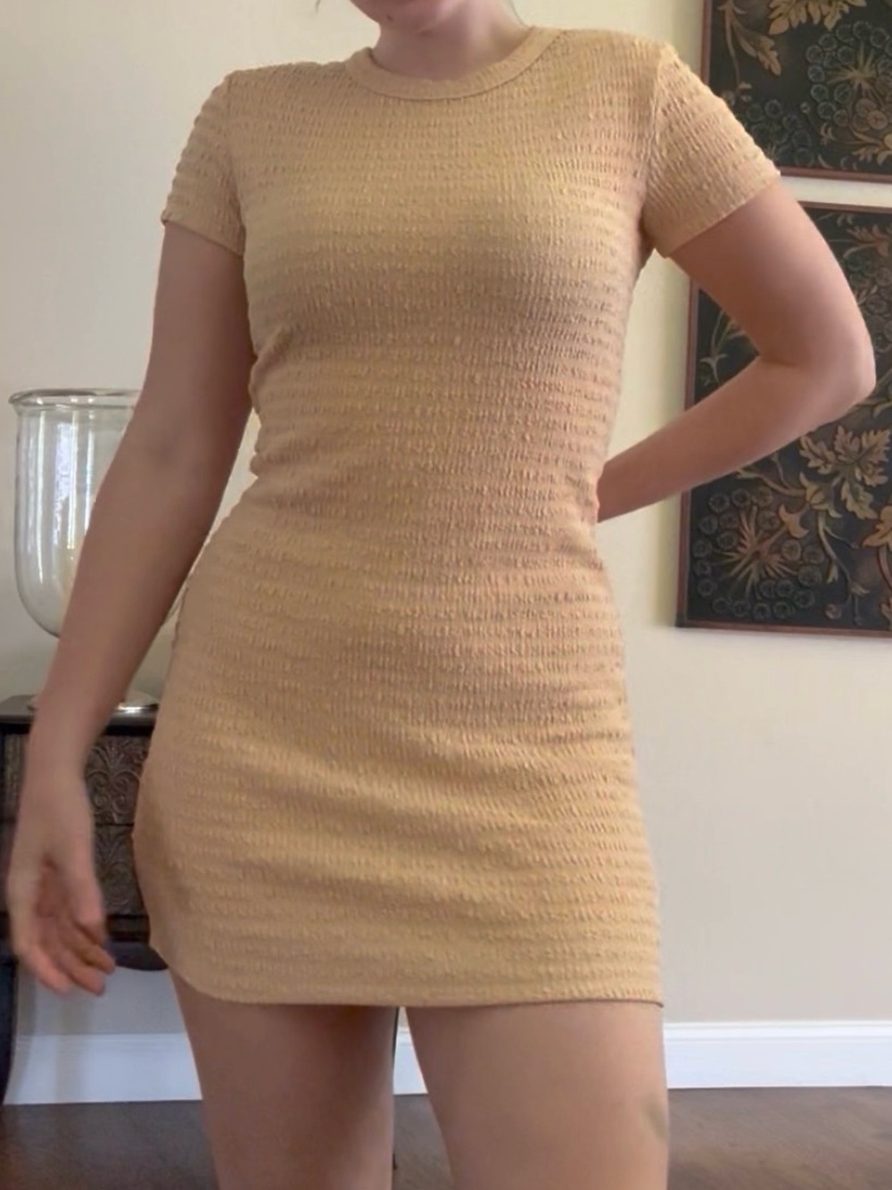 Bodycon Nude Mini Dress